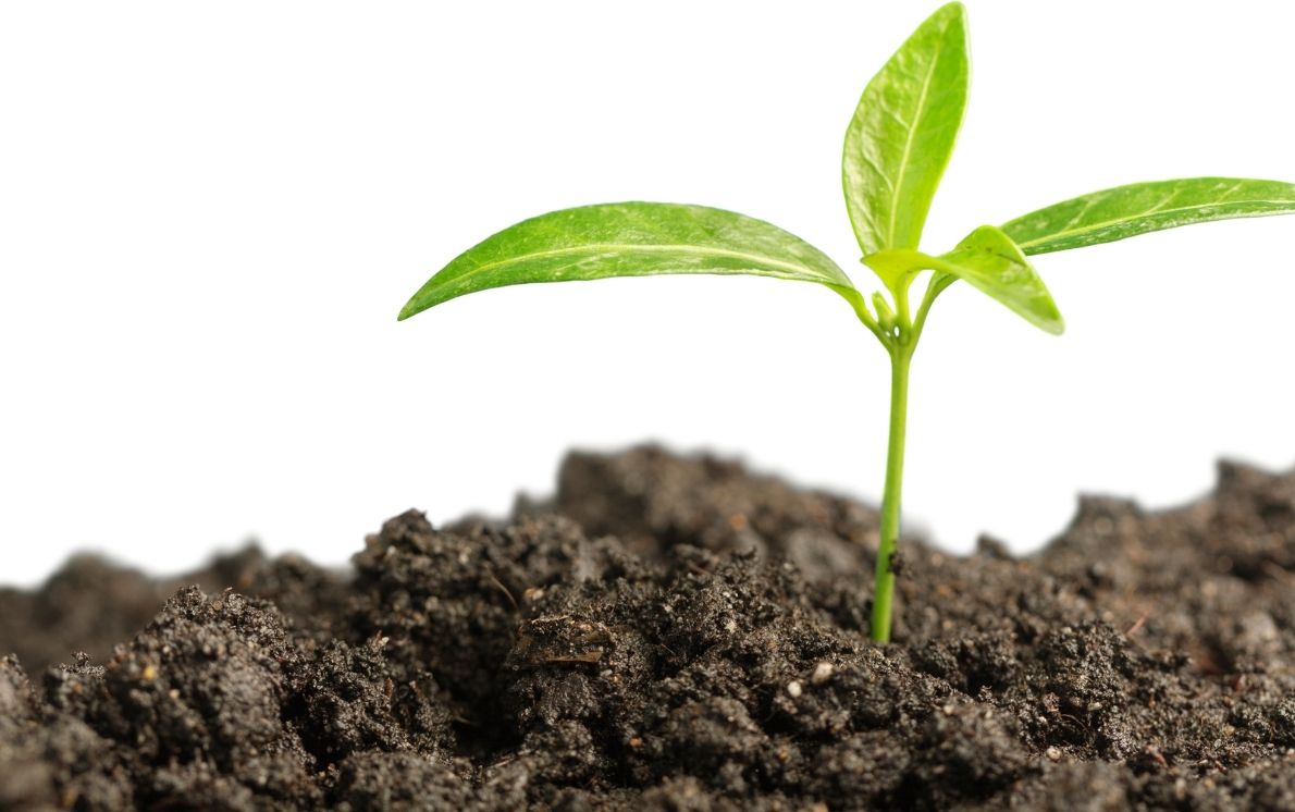 Demir Sülfat: Toprak Verimliliğini Artırmak İçin Güçlü Bir Araç